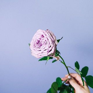 アンティークパープルがクセになる🍇