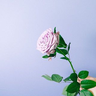 大きなお花は茎が俯きになりやすいです。水揚げを忘れずに行いましょう。