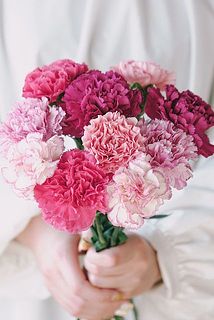 たっぷり10本お届けします。