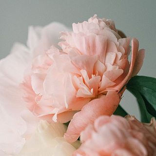 ニュアンスのあるカラーリングが本当にかわいくておすすめです！