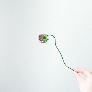 うねうね姿が可愛い😍！