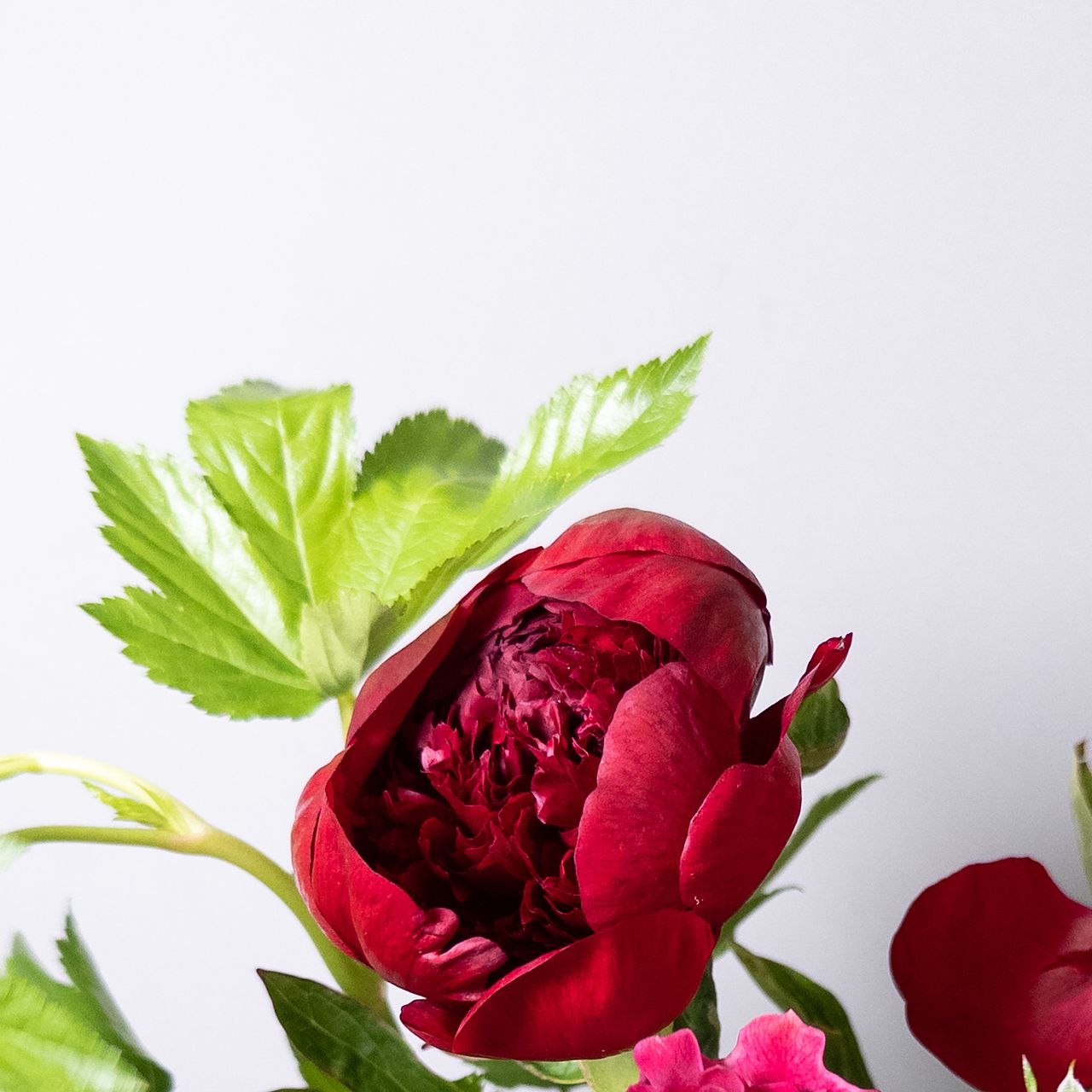 large_5120f9e0-faca-4527-b0c9-