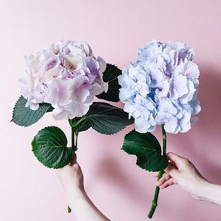 直径15cmの大きめサイズ