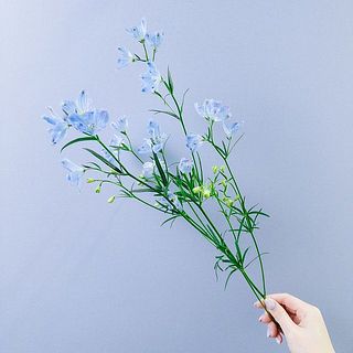 清涼感のあるブルーのデルフィニウム。