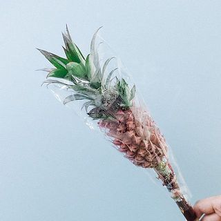 フィルムに入ってお届けいたします。