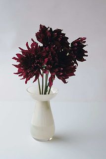 パステルカラーの花器とも相性抜群！[使用花器：ミルキーグラス（イエロー）]