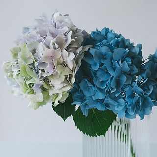 2本セットでお届け。色の組み合わせはお楽しみに。