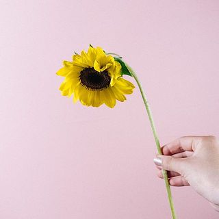 俯きがちなお花もあります。きゅっと上を向くよう紙で巻いて水切りしてみて。