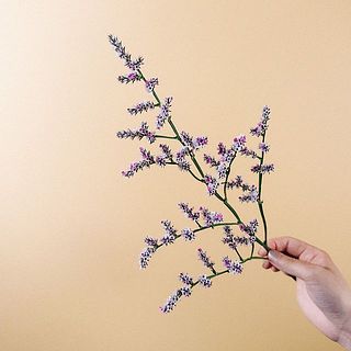 白地にピンクのバイカラーを楽しんで🍑