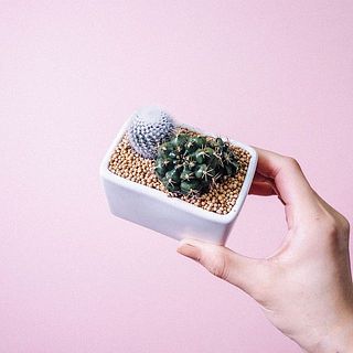 小さいサイズです