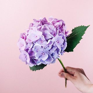 ピンクパープルのグラデーションがお洒落💅