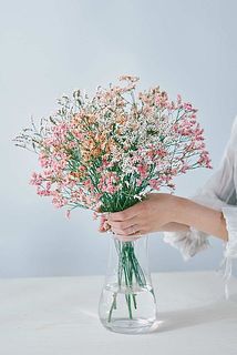 10本でこのボリューム。ハイブリッドスターチスならではのふわふわ感がたっぷり楽しめます。
