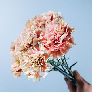 複色には個体差がございます。
