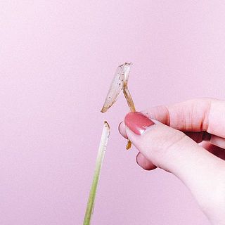 茎先についてる茶色い部分を取ってあげると水上がりがよくなります。黄色くなった葉っぱは間引いてあげましょう。