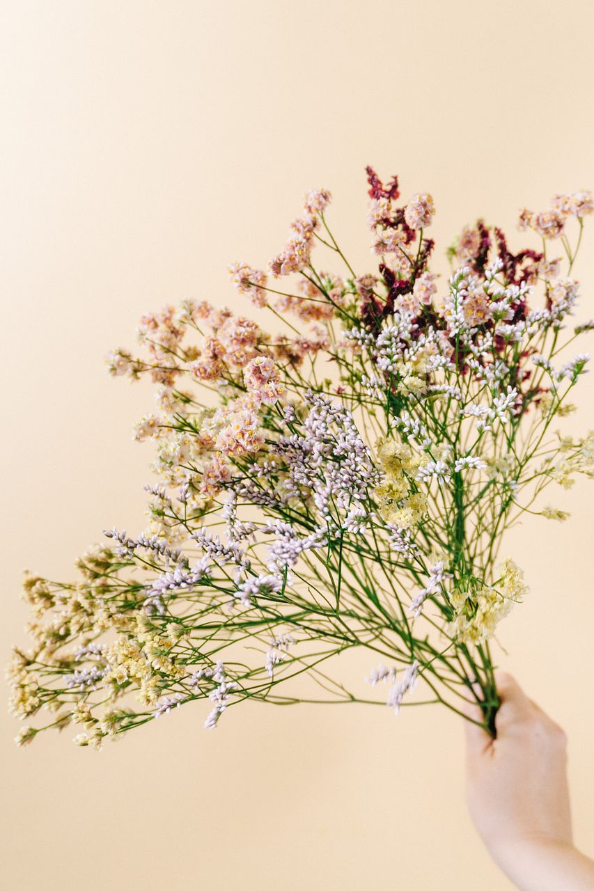 お試し「るもいのハイブリッドスターチス」