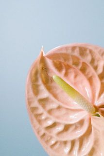 一部傷がついていることもあります。ご了承ください。