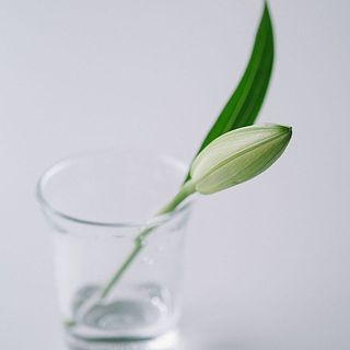 茎の下の方についたつぼみや花はカットして小さなグラスに活けても◎