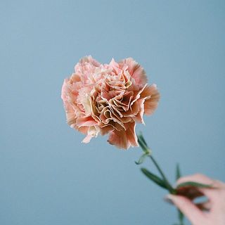 絶妙な色合いがたまらない💛