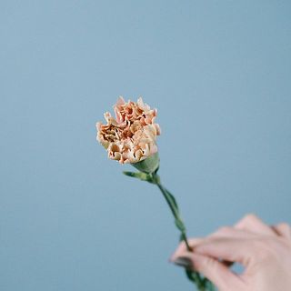蕾も少し入ります