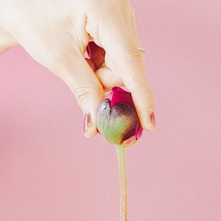 外側の花びらをめくり、つぼみをほぐすように揉んであげると開花しやすくなります。