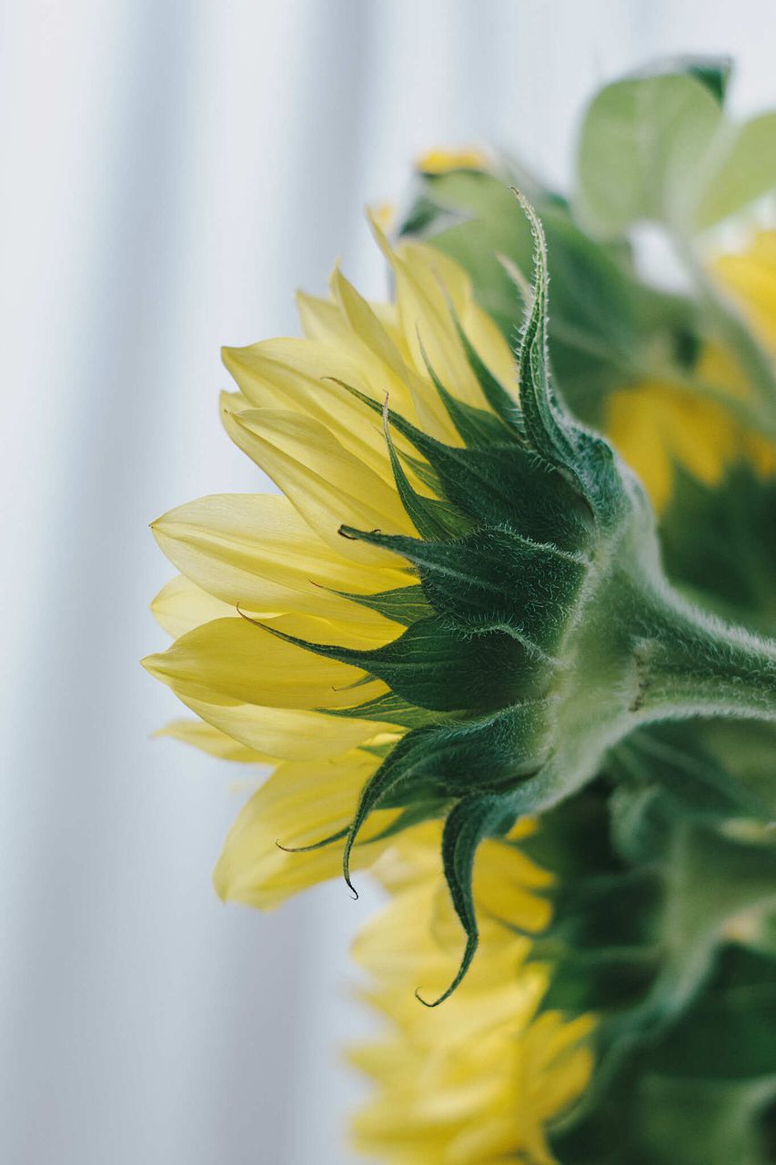 large_d436b0dd-f123-420c-aac6-