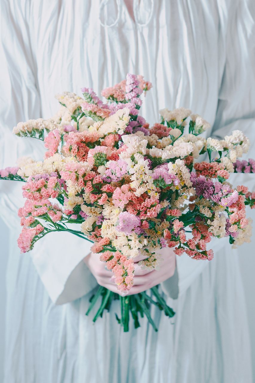 産直】北海道のおまかせスターチス（ピンク×オレンジ）