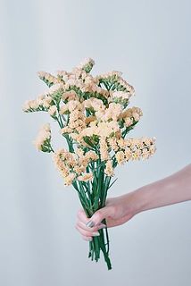 お届け一例「アプリビューティー」