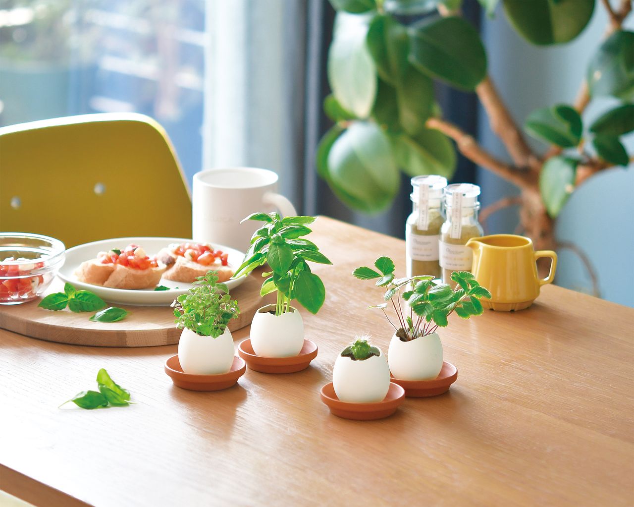 eggling eco 四つ葉のクローバー