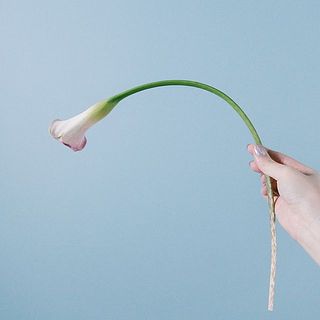 曲がっているものもあります。