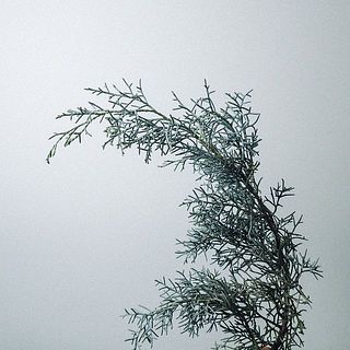 ブルーアイスの香りに癒されて。