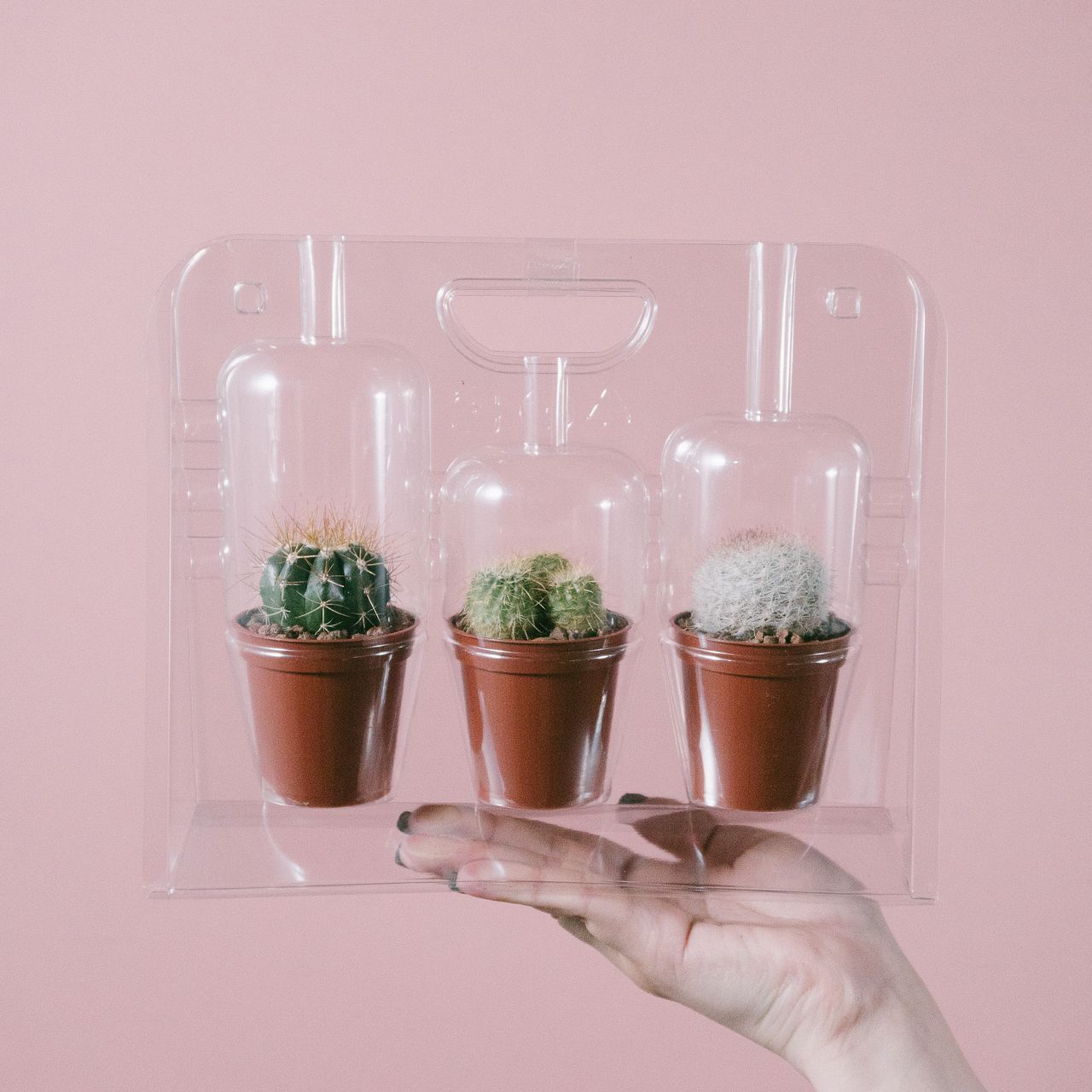 large_8c3fb2ce-9335-4f85-9914-