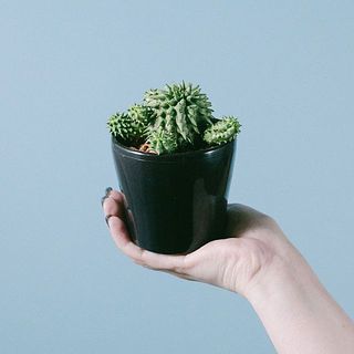 個体差があります。