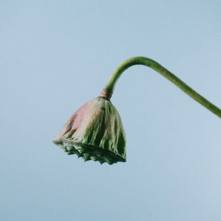 俯きがちな特性がございます。