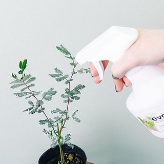 植物全体や土にシュッとスプレーするだけ。