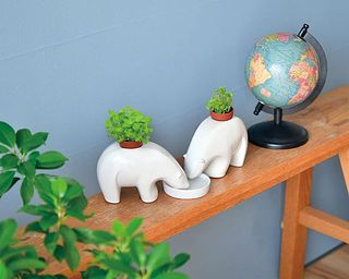 シロクマのポットで育てるミント