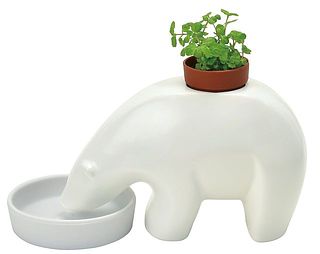 水を飲んでいるような姿がかわいい！