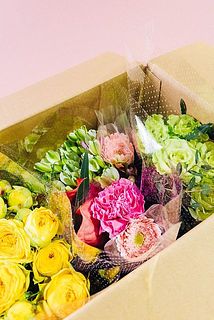 お届け例（内容は毎回異なります）