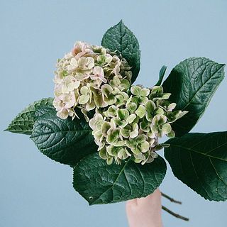 あなただけのカラーリング！箱を開けてみてからのお楽しみ👀