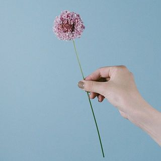 長さは25〜30センチと少々短めです。