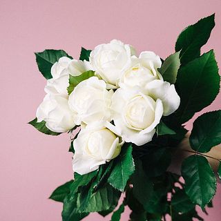 たっぷり楽しんで！