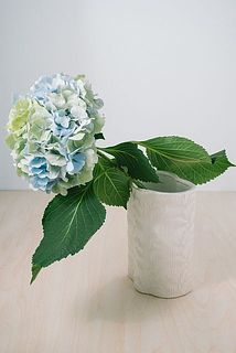 安定感があるので頭の大きな紫陽花も飾れます。