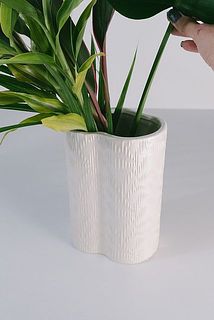 南国グリーンと相性抜群🌿