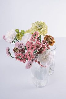 お届け例（内容は毎回異なります）