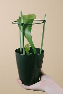 お届け例