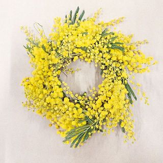 ミモザのリースキット