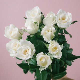 バラ「ジューク」(10本入り)