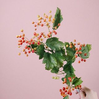 1本のボリューム感はこんな感じです！