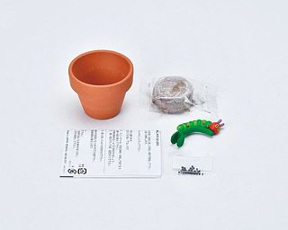 セット内容。器、種、土がオールインワンで入っています。