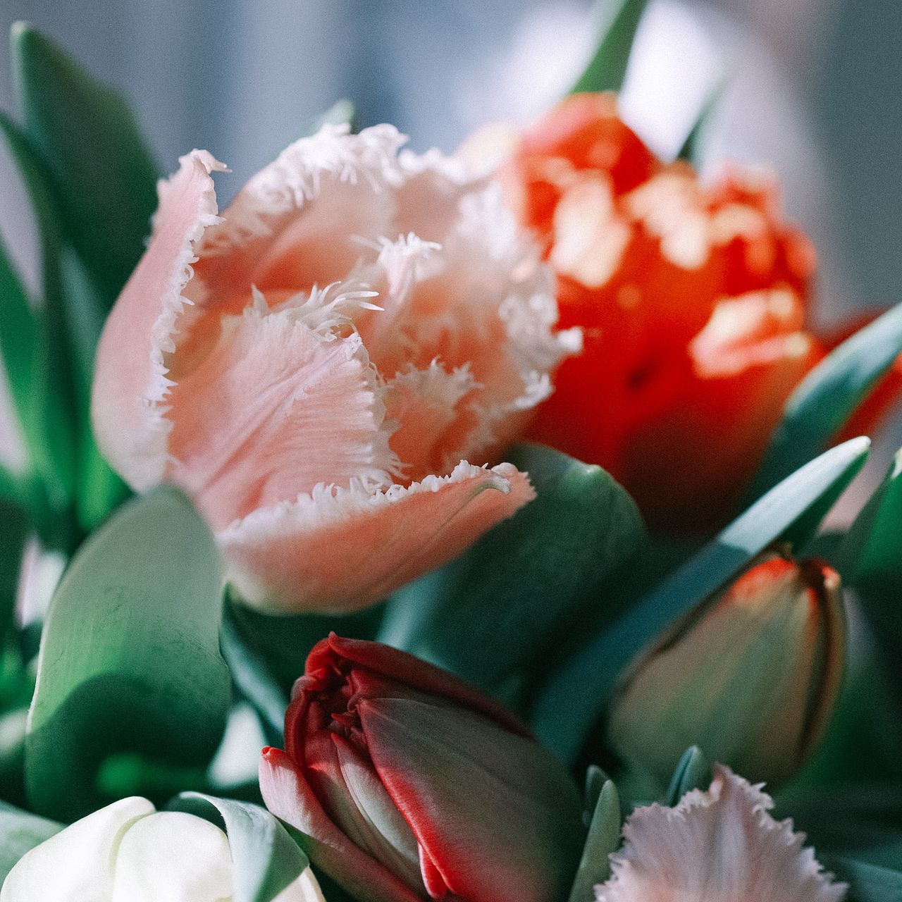 momo 入園入学セット デイジー おはな チューリップ 楽天市場】入園入学6点セット ピンク くまとお花 サイズオーダー可