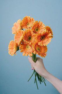 色味のバランスには個体差がございます。